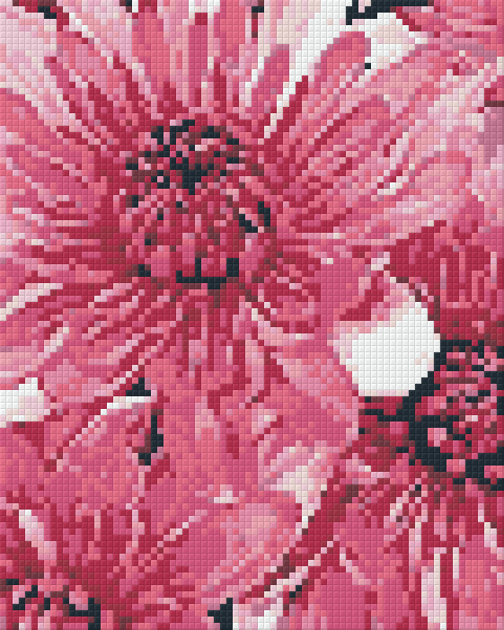 Pixelhobby Klassik Vorlage - Chrysanthemen