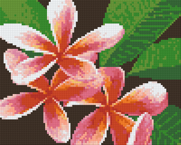 Pixelhobby Klassik Vorlage - Frangipani