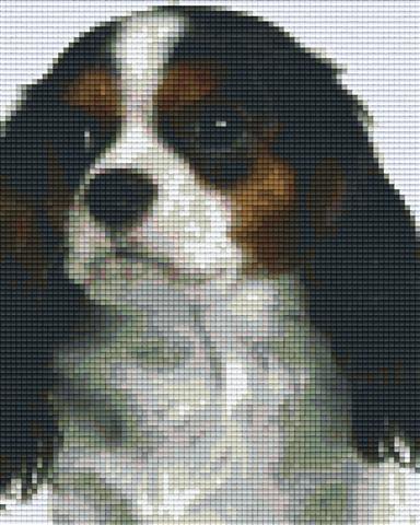 Pixelhobby Klassik Set - Cavalier King Charles
