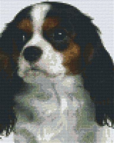 Fashion pixel cavalier king charles