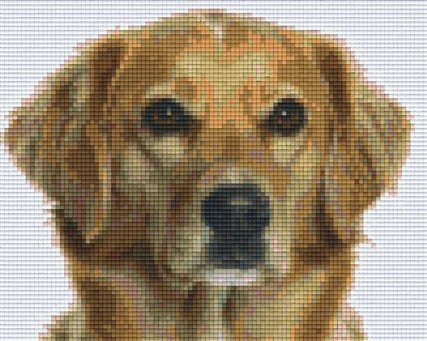Pixel Hobby Classic Template - Novia Scotia Duck Tolling Retriever