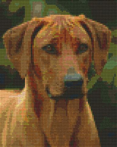 Pixelhobby Klassik Vorlage - Rhodesian Ridgeback