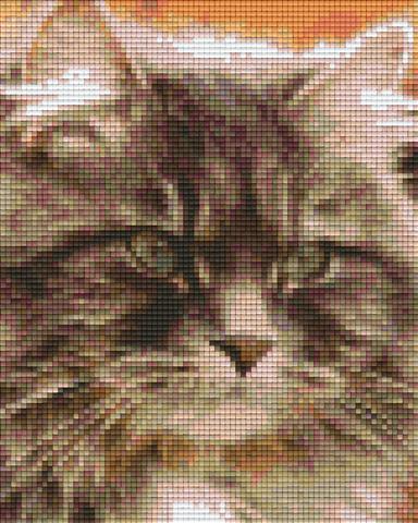 Pixelhobby Klassik Vorlage - Katze
