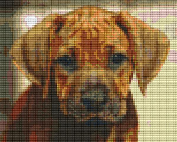 Pixelhobby Klassik Set - Rhodesian Ridgeback Welpe