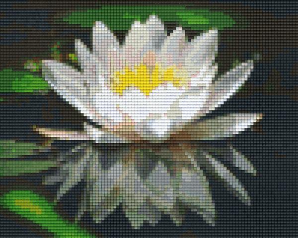 Pixelhobby Klassik Vorlage - Seerose