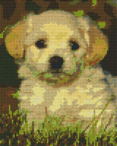 Pixelhobby Klassik Set - Bichon Welpe Havanais