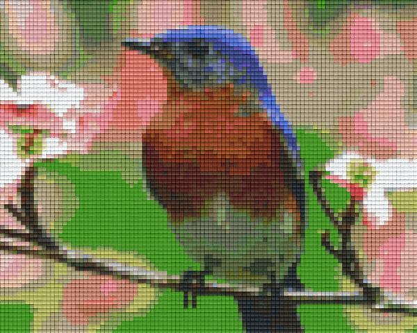 Pixelhobby Klassik Set - Rotkehlchen
