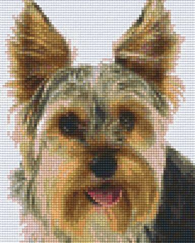 Pixelhobby Klassik Vorlage - Yorkshire-Terrier