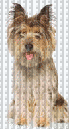 Pixelhobby Klassik Vorlage - Yorkshire Terrier