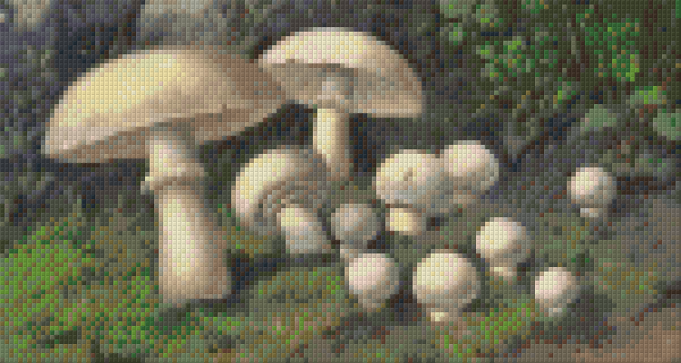 Pixelhobby Klassik Vorlage - Pilze