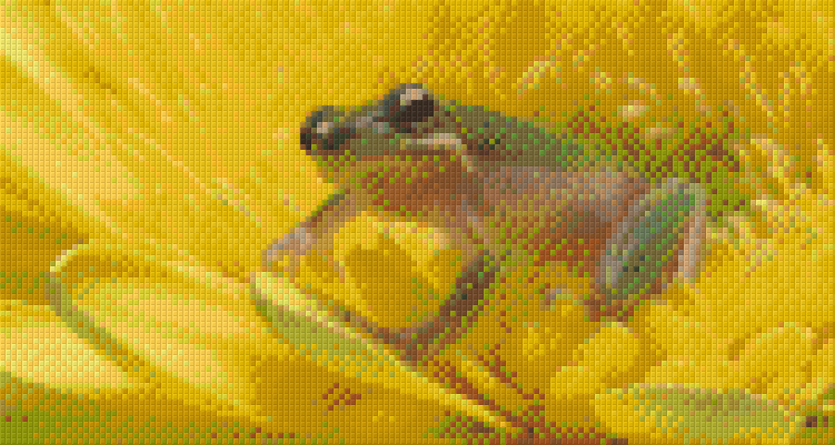 Pixelhobby Klassik Vorlage - Frosch