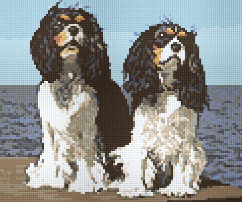 Pixelhobby Klassik Vorlage - Cavalier King Charles