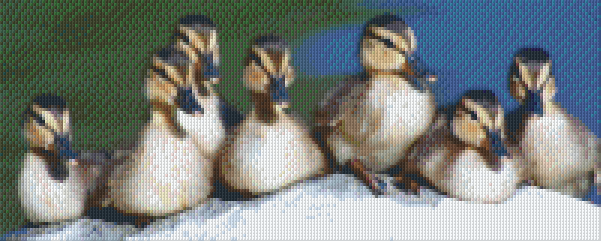 Pixelhobby Klassik Set - Alle Entchen in der Reihe