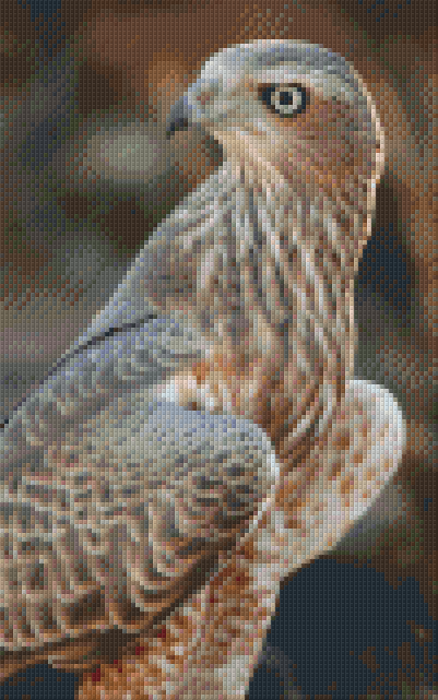 Pixelhobby Klassik Vorlage - Adler