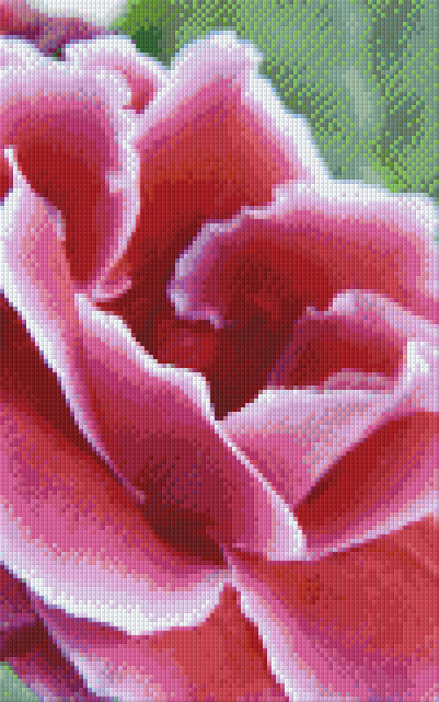Pixelhobby Klassik Vorlage - Orchideen