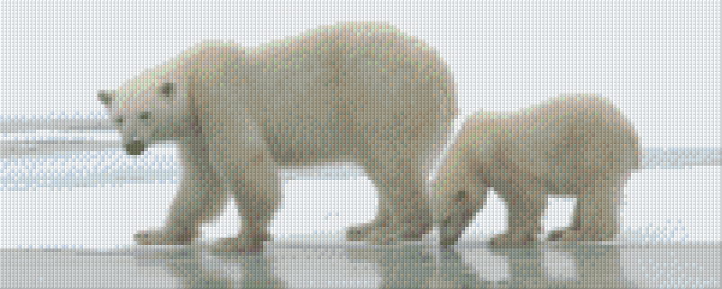 Pixel hobby classic template - polar bears