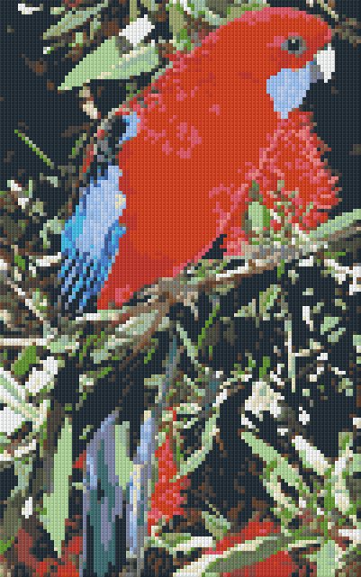 Pixelhobby Klassik Vorlage - Chrimson Rosella