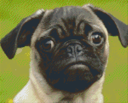 Pixelhobby Klassik Vorlage - Mops