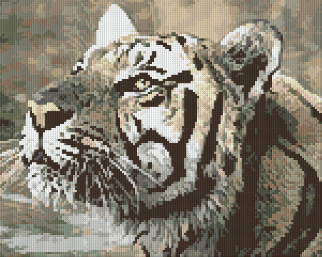 Pixelhobby Classic Set - Bengal Tiger
