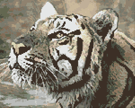 Pixelhobby Klassik Vorlage - Bengalischer Tiger