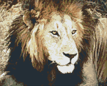 Pixel hobby classic set - lion