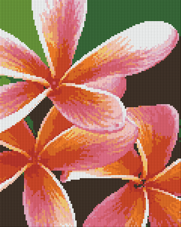 Pixelhobby Klassik Vorlage - Rose Frangipanis