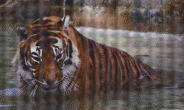 Pixelhobby Klassik Vorlage - Tiger im Wasser