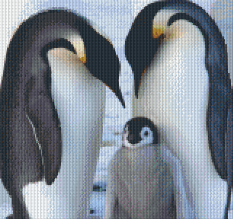 Pixel hobby classic template - king penguins