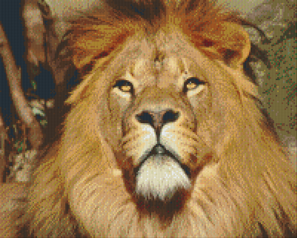 Pixel hobby classic template - lion