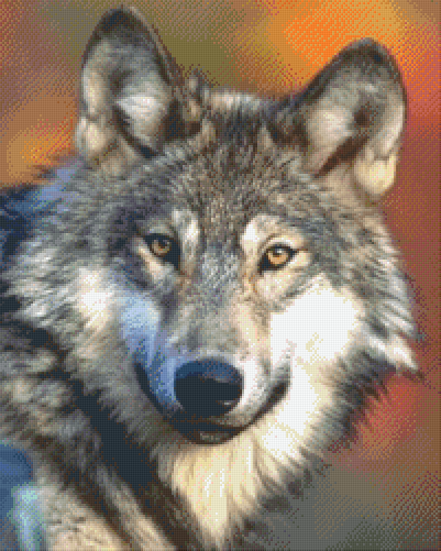 Pixelhobby Klassik Set - Wolf