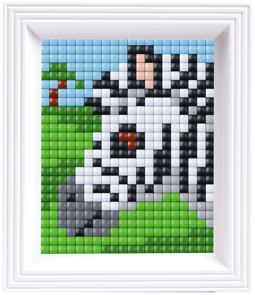 Pixelhobby XL Gift Sets - Zebra