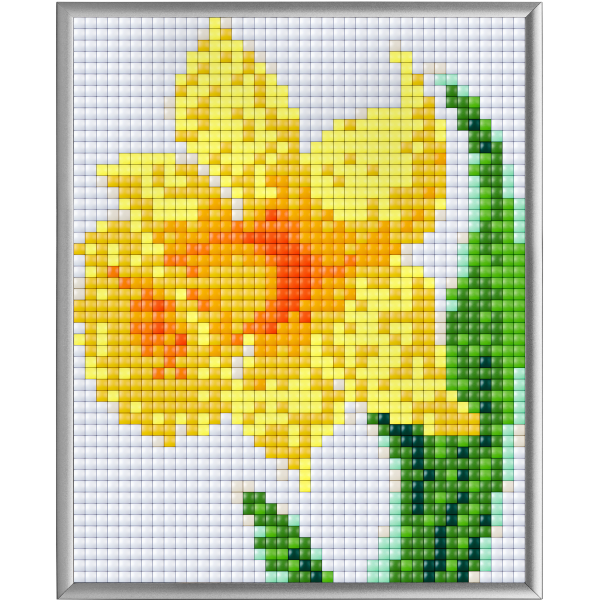 Pixelhobby XL 4BP Set - Narzisse