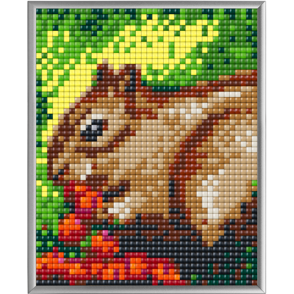 Pixelhobby XL 4BP Set - Eichhörnchen