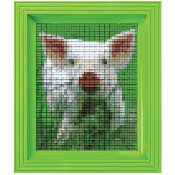 Pixelhobby Klassik Geschenkset - Schwein