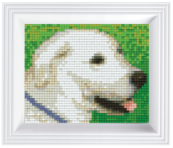 Pixelhobby Klassik Geschenkset - Hund