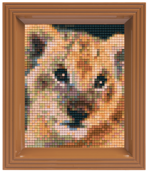 Pixelhobby Classic Gift Set - Baby Lion