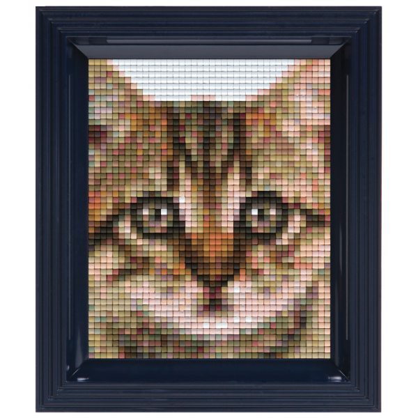 Pixelhobby Klassik Geschenkset - Kätzchen
