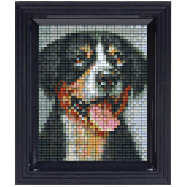 Pixelhobby Classic Gift Set - Swiss Mountain Dog