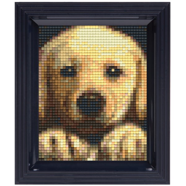 Pixelhobby Klassik Geschenkset - Golden Retriever