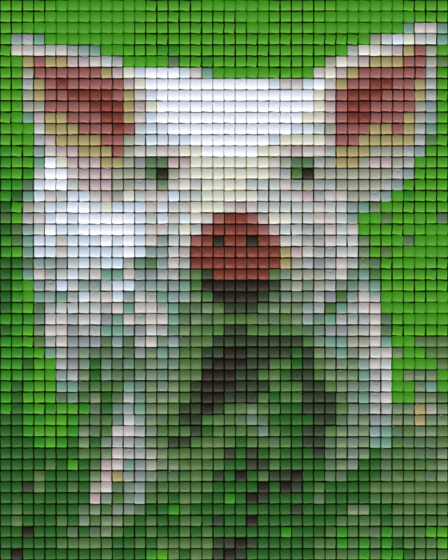 Pixelhobby Klassik Vorlage - Schwein
