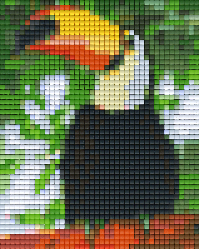 Pixelhobby Klassik Vorlage - Tukan