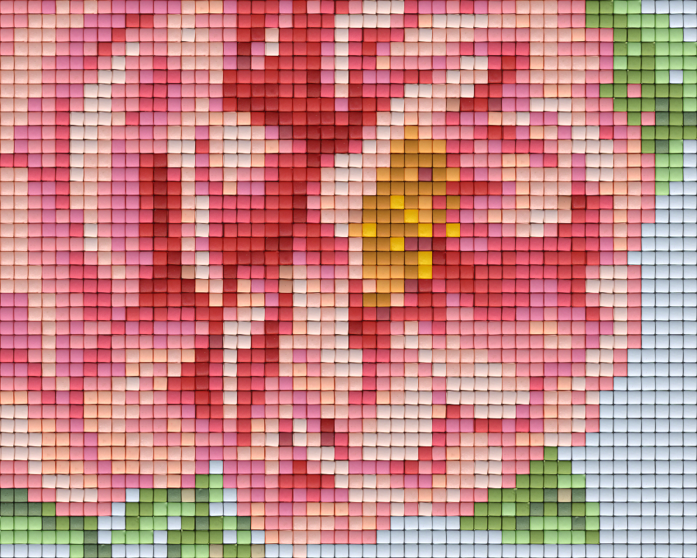 Pixelhobby Klassik Vorlage - Pfingstrose