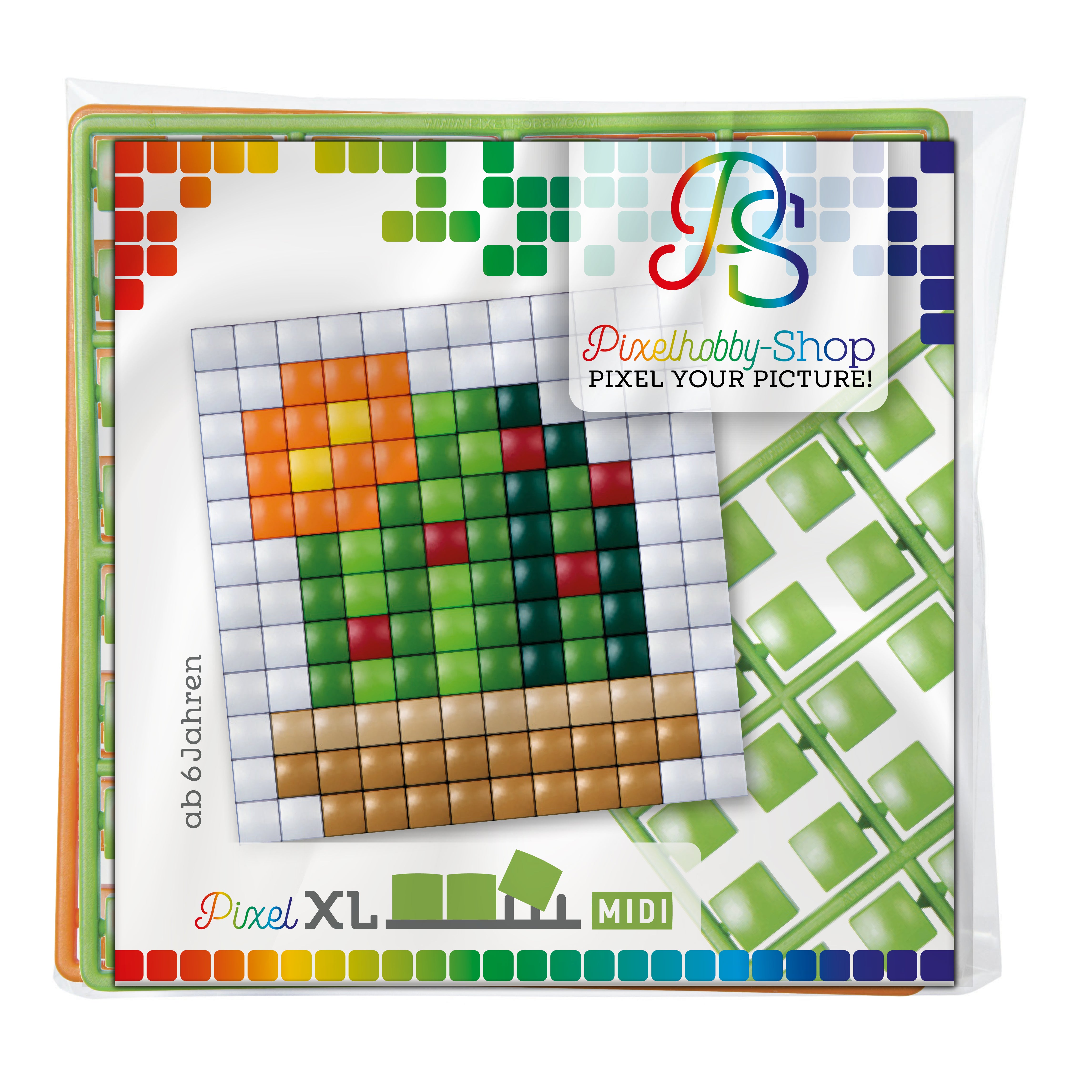 Pixelhobby XL (Midi) Magnet Set - Kaktus mit Blüten