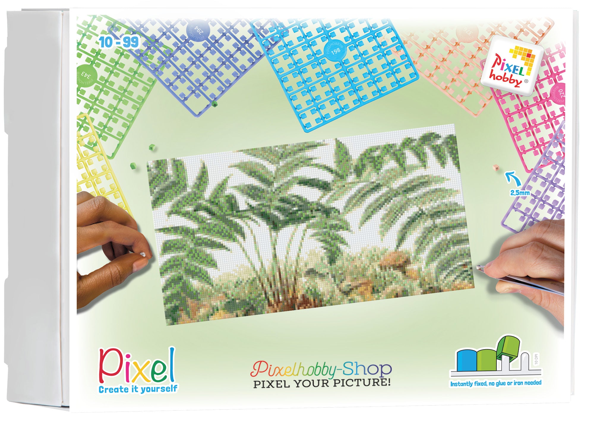Pixelhobby Classic Set - Fern