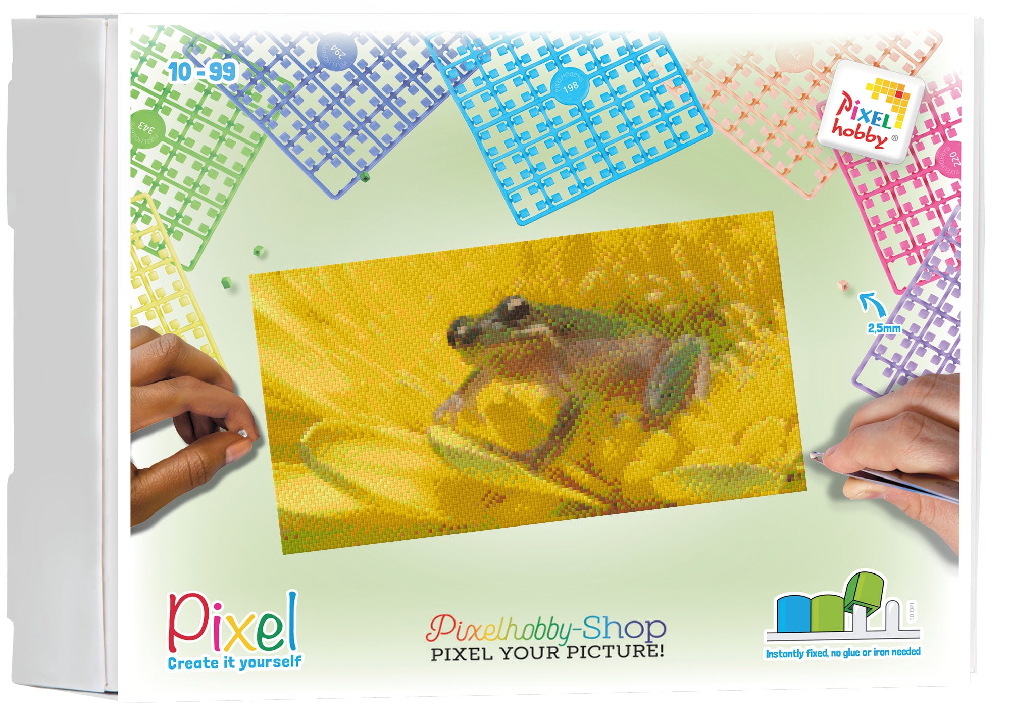 Pixelhobby Klassik Set - Frosch