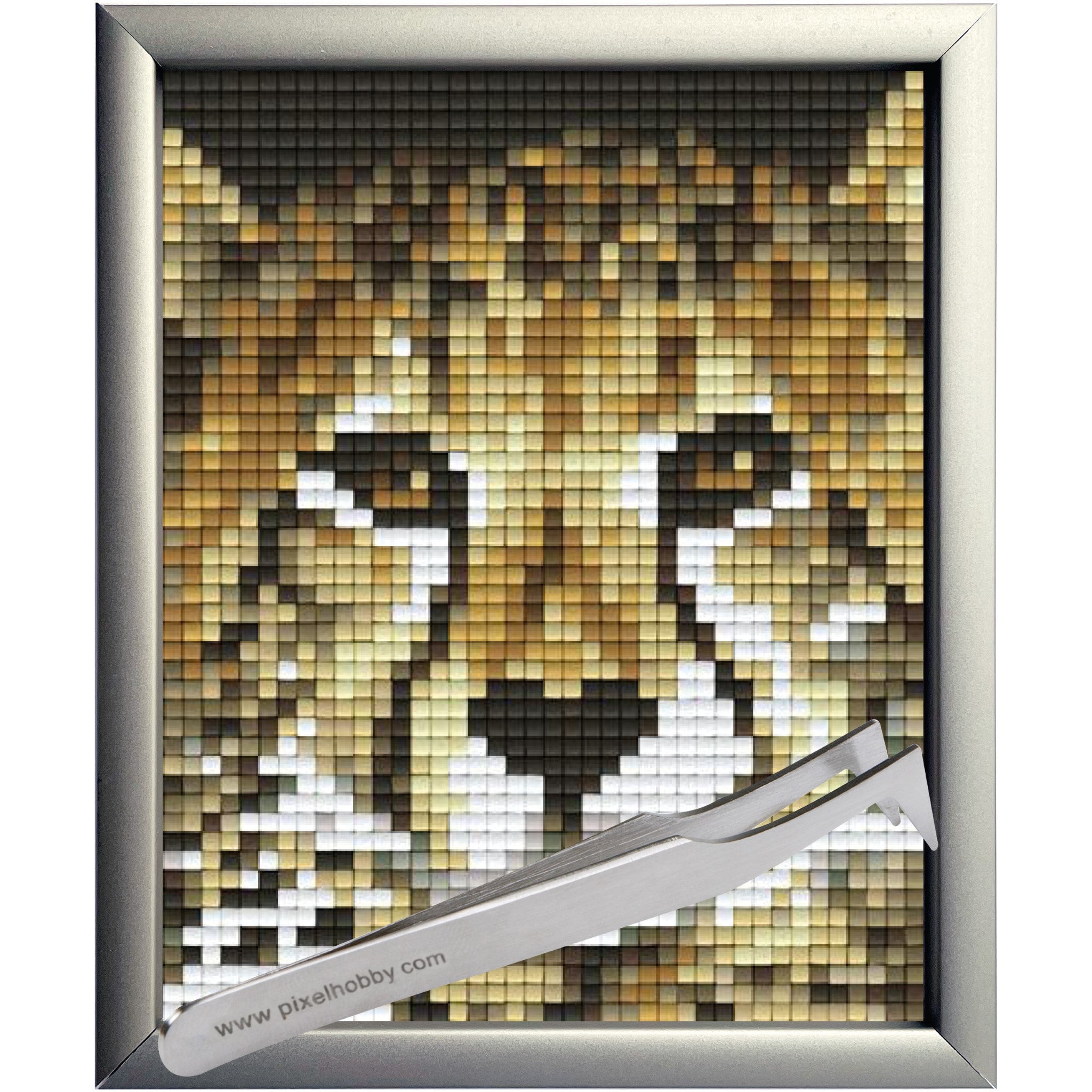 Pixel Hobby Classic Set - Baby Cheetah