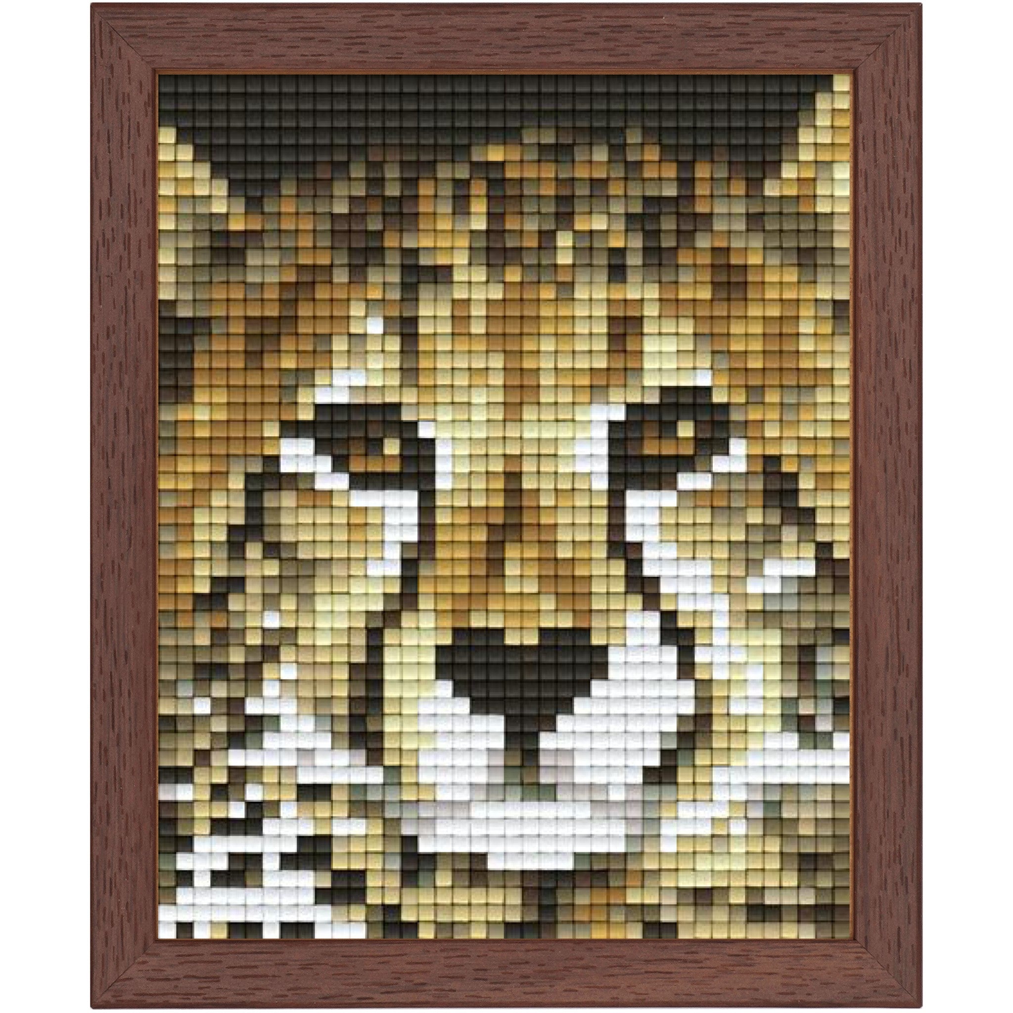 Pixel Hobby Classic Set - Baby Cheetah