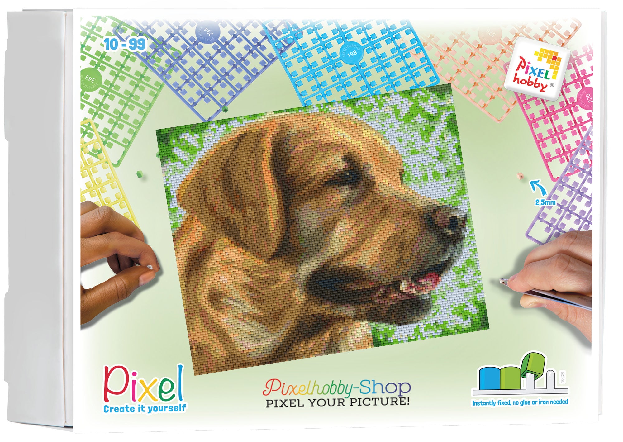 Pixelhobby Klassik Set - Golden Retriever Kopf