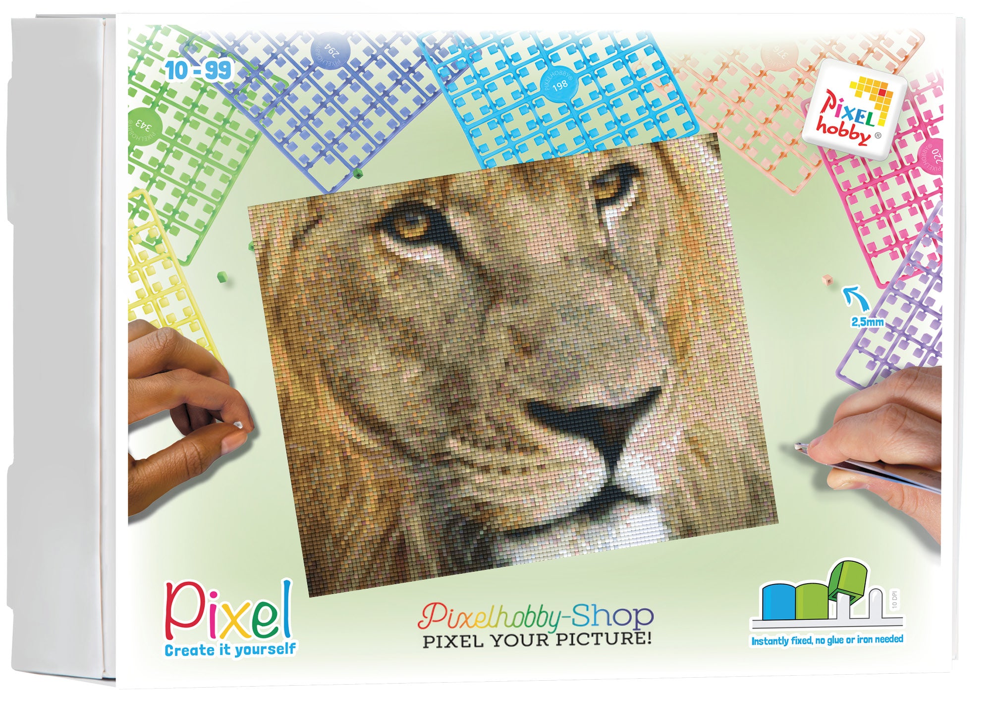 Pixel hobby classic set - lion