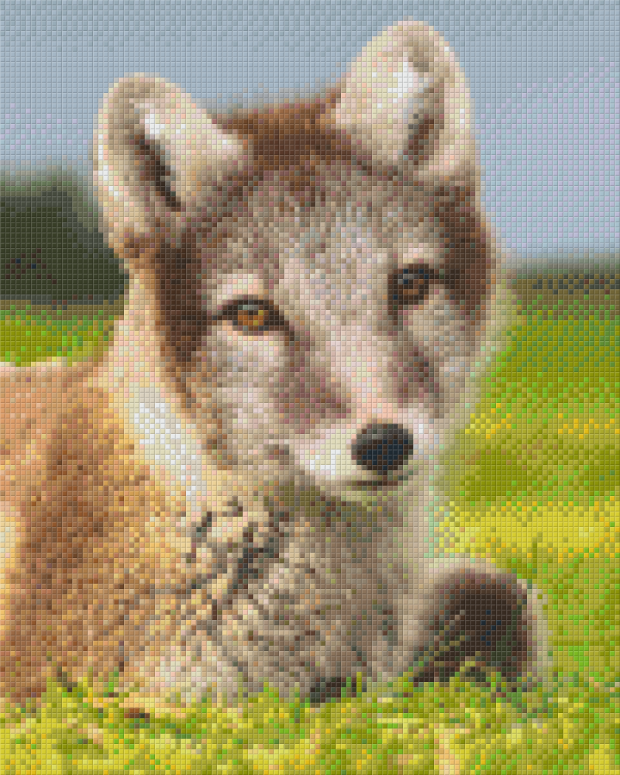 Pixel Hobby Classic Set - Wolf Puppy